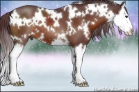 Horse Color:White Spotted Chocolate Bay Splash