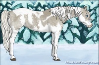 Horse Color:Silver Smoky Blue Roan Splash Tobiano Rabicano 