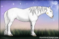 Horse Color:Silver Smoky Black Pearl Tobiano Varnish 