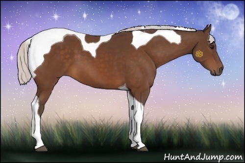 Horse Color:Silver Bay Tobiano 