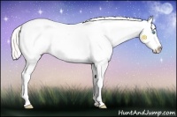 Horse Color:Silver Buckskin Pearl Tobiano Varnish 