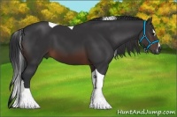 Horse Color:Brown Sabino Tobiano