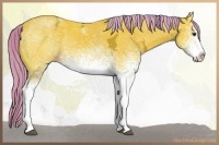 Horse Color:Watercolor White Spotted Liver Chestnut Ice