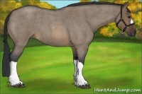 Horse Color:Brown Roan Dun 