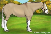 Horse Color:Silver Brown Dun Splash 