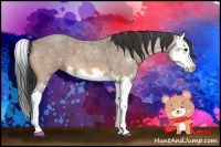 Horse Color:Buckskin Roan Splash 