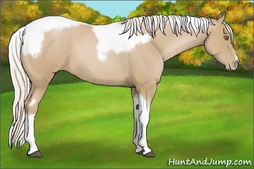 Horse Color:Silver Blue Roan Pearl Tobiano Frame 