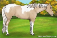 Horse Color:Silver Blue Roan Pearl Tobiano Frame
