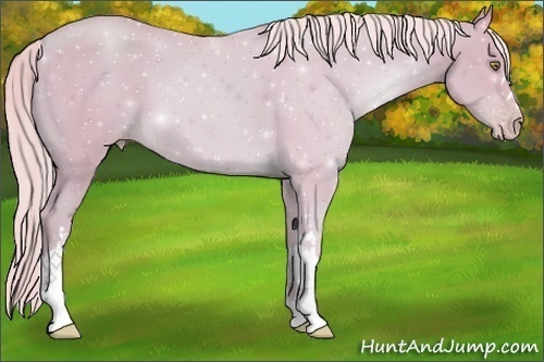 Horse Color:Watercolor Gold Champagne