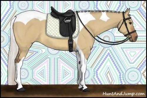 Horse Color:Silver Bay Dun Tobiano
