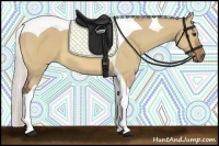 Horse Color:Silver Bay Dun Tobiano 