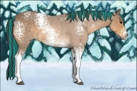 Horse Color:Painted White Spotted Buckskin