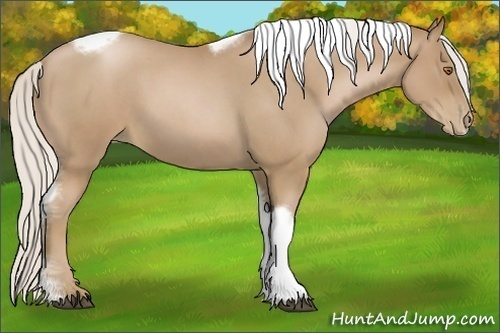 Horse Color:Silver Blue Roan Pearl Tobiano Frame 