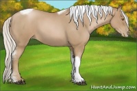 Horse Color:Silver Blue Roan Pearl Tobiano Frame 