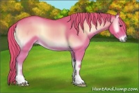 Horse Color:Watercolor Red Onyx 