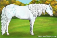 Horse Color:Watercolor White Spotted Black Splash Varnish 