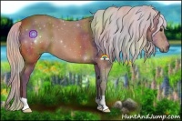 Horse Color:Nacre Silver Bay 