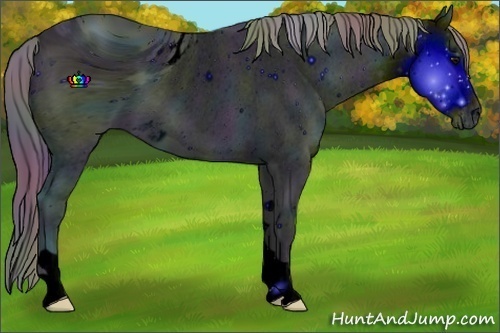Horse Color:ERROR: UNKNOWN ANOMALY