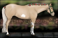 Horse Color:Silver Blue Roan Pearl Tobiano Frame 