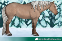 Horse Color:Liver Red Dun Mushroom 