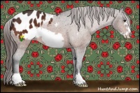 Horse Color:Bay Frame Appaloosa 