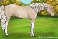 Horse Color:Silver Blue Roan Pearl Tobiano Frame 
