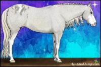 Horse Color:Watercolor Chestnut Sabino Varnish 