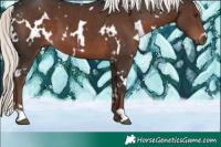 Horse Color:White Spotted Liver Chestnut Mushroom 