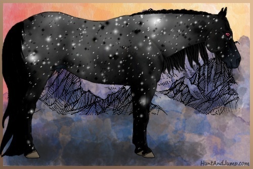 Horse Color:ERROR: UNKNOWN ANOMALY
