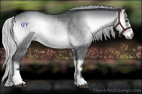 Horse Color:Silver Blue Onyx Chinchilla Sabino 