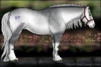 Horse Color:Silver Blue Onyx Chinchilla Sabino