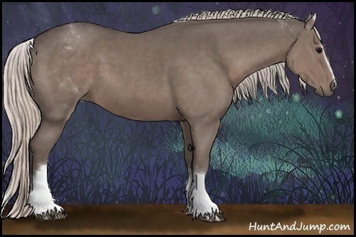 Horse Color:White Spotted Silver Black 