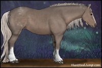 Horse Color:White Spotted Silver Black
