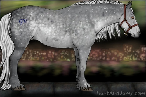 Horse Color:Silver Black Chinchilla Sabino Rabicano