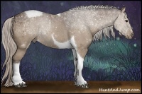 Horse Color:Silver Black Tobiano Rabicano