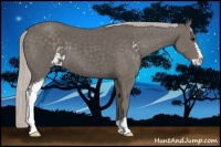 Horse Color:Silver Black Sabino 