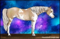 Horse Color:Silver Black Pearl Sabino