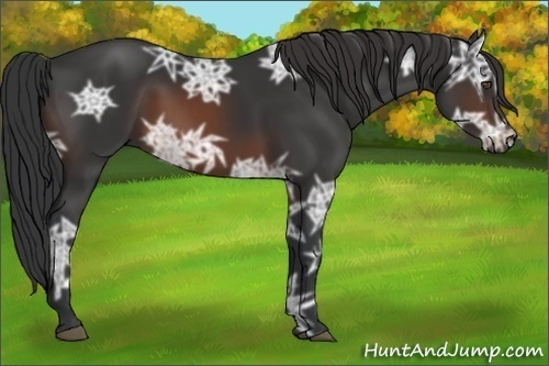 Horse Color:Brown Ice
