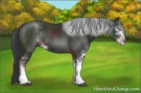 Horse Color:Liver Chestnut Sabino