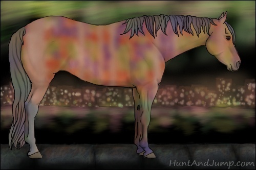 Horse Color:Nacre Bay 