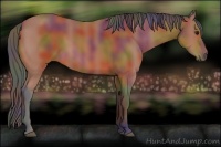 Horse Color:Nacre Bay 
