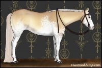 Horse Color:White Spotted Silver Buckskin Onyx Sabino 