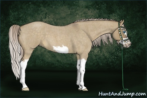 Horse Color:Chocolate Palomino Roan Dun Splash Frame 