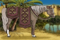 Horse Color:Silver Grullo Sabino 