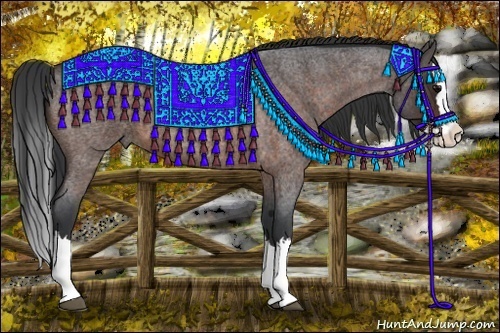 Horse Color:Bay Roan Splash 