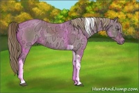 Horse Color:Liver Red Dun Ice Tobiano 
