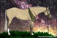 Horse Color:Silver Buckskin Dun Sabino 