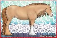 Horse Color:Gold Champagne