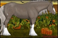 Horse Color:Silver Black 