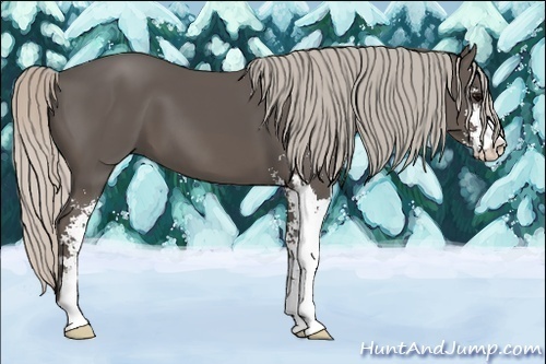 Horse Color:Silver Black Sabino